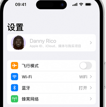 岳池appleID维修服务iPhone设置中Apple ID显示为灰色无法使用 