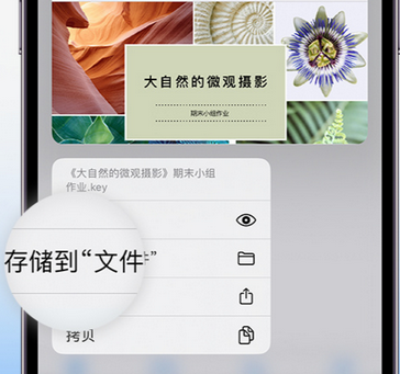 岳池apple维修中心分享iPhone文件应用中存储和找到下载文件