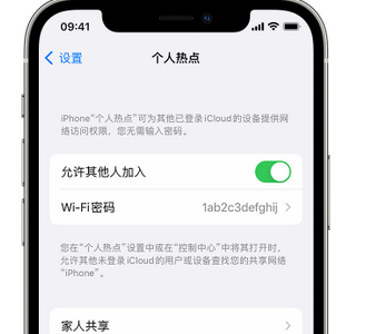 岳池apple服务站点分享iPhone上个人热点丢失了怎么办 