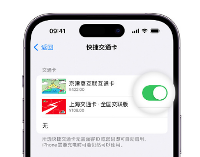 岳池apple维修点分享iPhone上更换Apple Pay快捷交通卡手绘卡面 