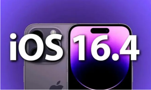 岳池苹果14维修分享：iPhone14可以升级iOS16.4beta2吗？ 