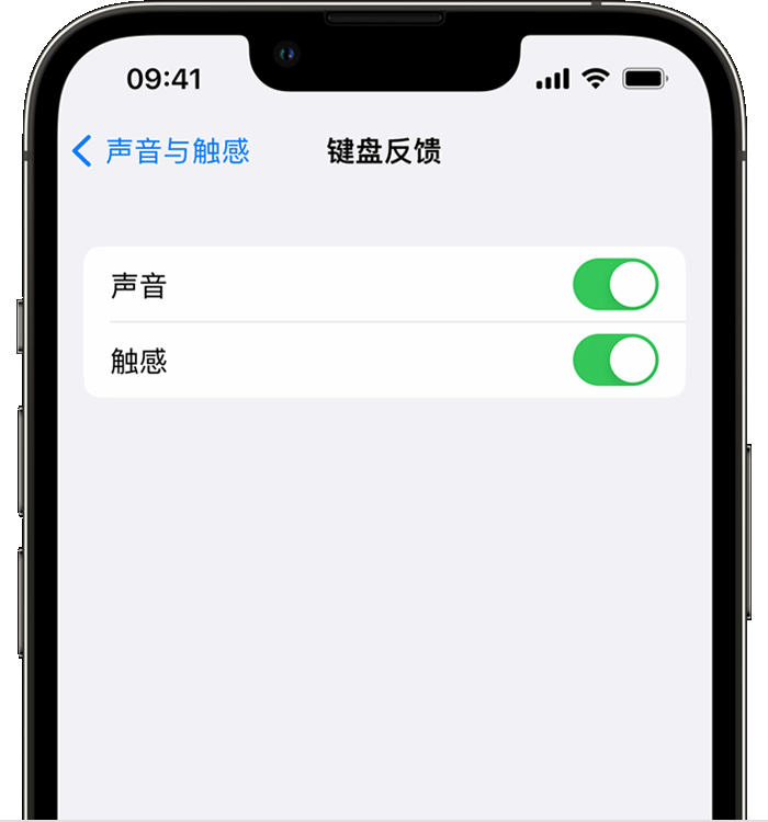 岳池苹果14维修店分享如何在 iPhone 14 机型中使用触感键盘 