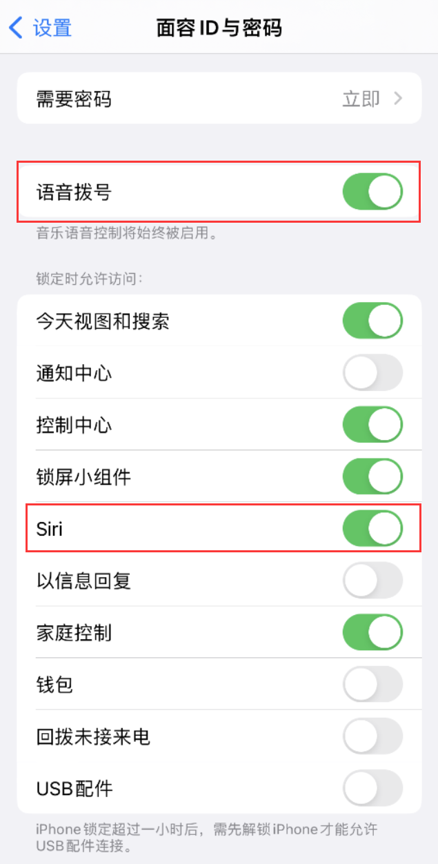 岳池苹果维修网点分享不解锁 iPhone 的情况下通过 Siri 拨打电话的方法 