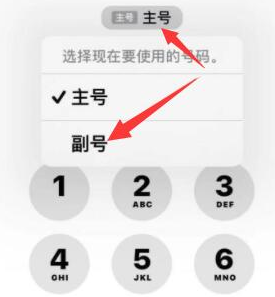 岳池苹果14维修店分享iPhone 14 Pro Max使用副卡打电话的方法 