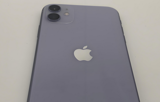 岳池苹果11系统维修分享iPhone11手机系统崩溃无法开机如何解决 